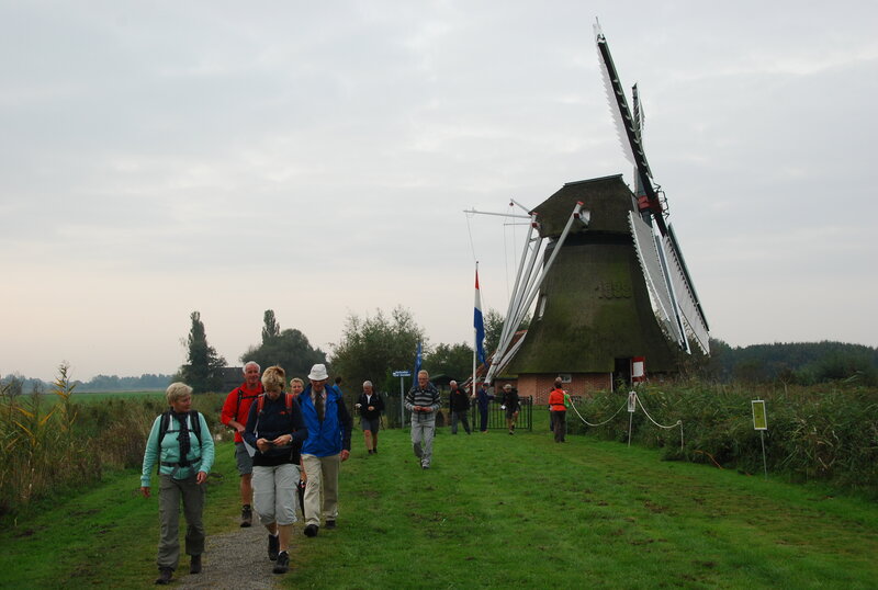 Groninger Molenzomer
