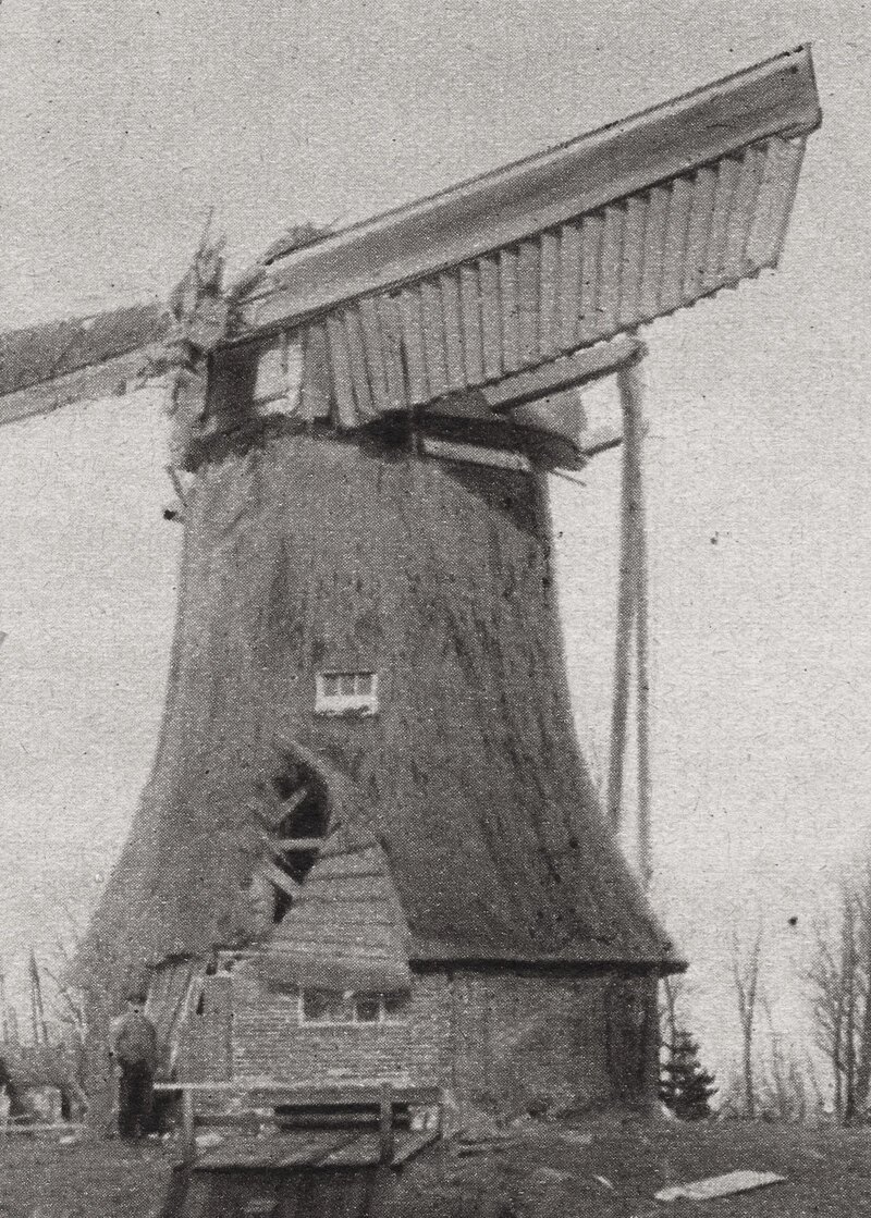 De molen van de Oosterpolder