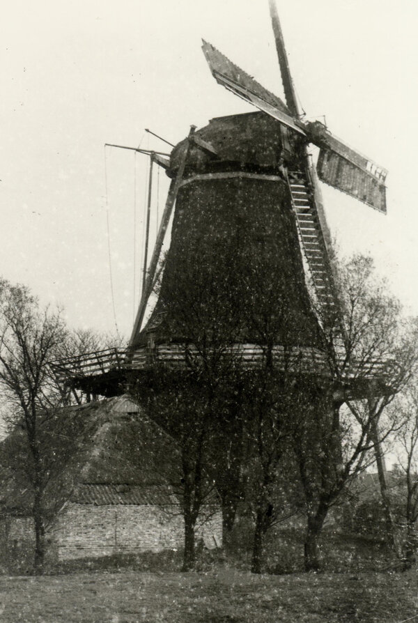 De koren- en pelmolen van Voogd