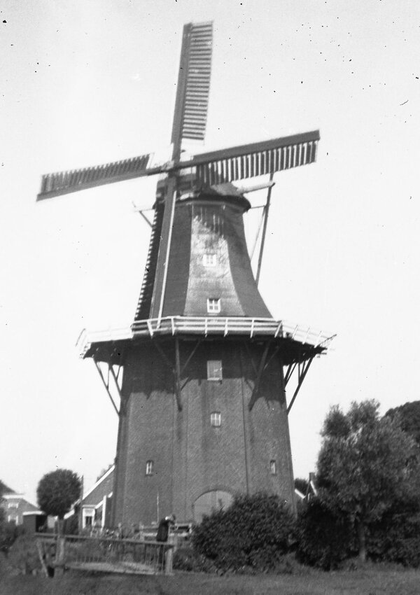 De koren- en pelmolen van Schiphuis