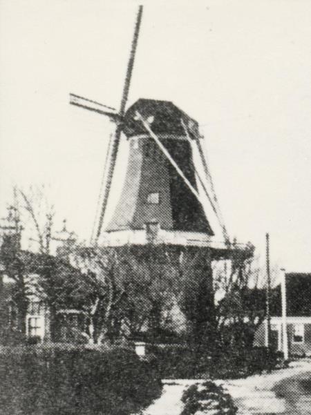 Koren- en pelmolen Middelste Meulen