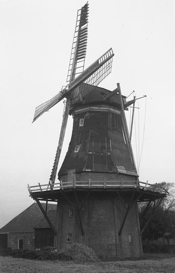 Koren- en pelmolen De Hoop