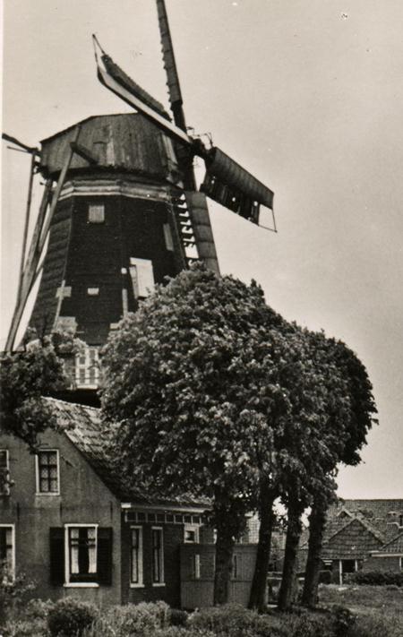 Koren- en pelmolen De Nijverheid