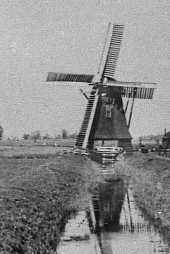 De Onderwierumer Poldermolen